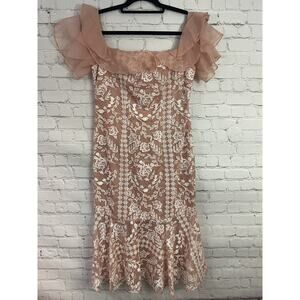 AMUR Embroidered Silk Floral Ruffle Dress in Size 6 Blush Pink Rose White